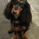 sinkfd's profile picture