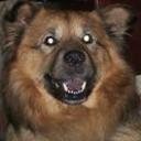 Cellerman716's profile picture