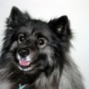 LaurenCreates's profile picture