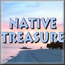 NativeTreasure's profile picture