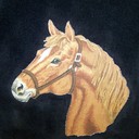 GirlsHorseClothes4U's profile picture
