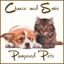 PamperedPets's profile picture