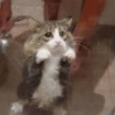 missymiss1's profile picture