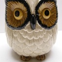 OwlShop's profile picture