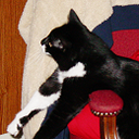chou's profile picture