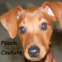 poochcouture's profile picture