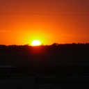 Junkrwe's profile picture