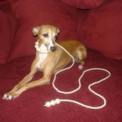 Veruca&Mia's profile picture