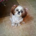 myasmith-dennis's profile picture