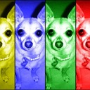 nikaay's profile picture