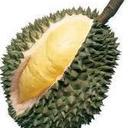 allytop's profile picture