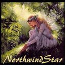 northwindstar's profile picture