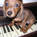 shadowpast's profile picture