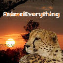 AnimalEverything's profile picture