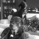 maxsozo1's profile picture