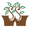 Worldseedsupply's profile picture