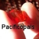 pacificopals's profile picture