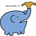 misscleo1105's profile picture
