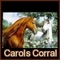 carolsherrell's profile picture