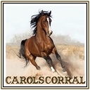 CarolsCorral's profile picture