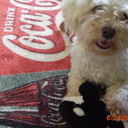 FabbyTreasures4YOU's profile picture