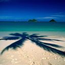 hawaiibaby's profile picture