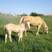 LadyVegas's profile picture