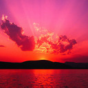 sag_style's profile picture