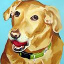 quinn330's profile picture