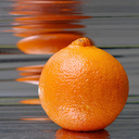 orangegroveroad's profile picture