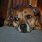 CollectingDivas's profile picture
