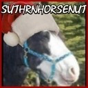 notsuthrnhorsenut's profile picture