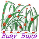Busybugs's profile picture