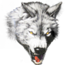witewolf's profile picture