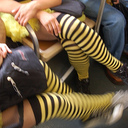 sieteperro's profile picture