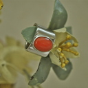 forgetmenot30's profile picture