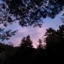 tandgphotos's profile picture