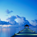 aquababie's profile picture