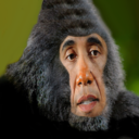buttonsforsale's profile picture