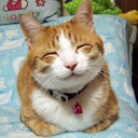 anitasthings's profile picture