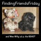 FindingFriendsFriday's profile picture