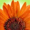 jandk342's profile picture