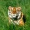 sth9's profile picture