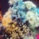 Nicole_fbbudyd's profile picture