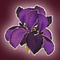 purpleiris's profile picture