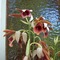 flaflowerfloozie's profile picture