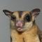 MoondragonEmporium's profile picture