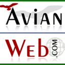 Avianweb's profile picture
