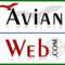 Avianweb's profile picture