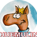 huemulin's profile picture